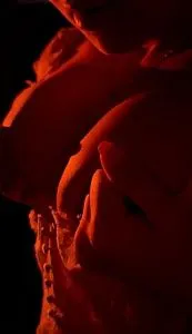 Горячая Моника