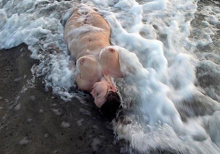 Подробные отзывы для девушки Мила